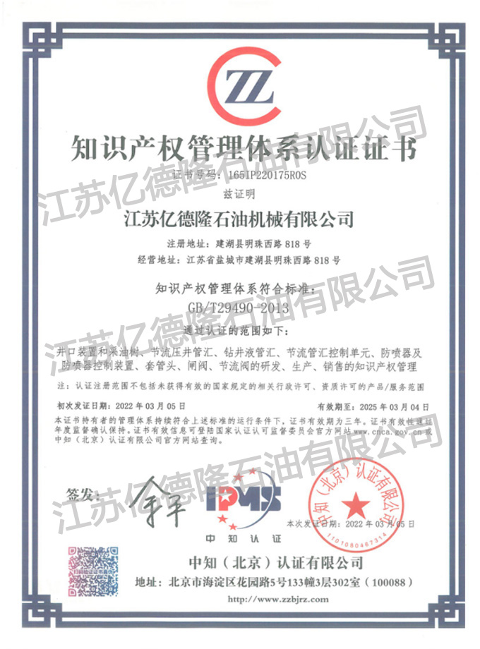 知識(shí)產(chǎn)權(quán)大.jpg